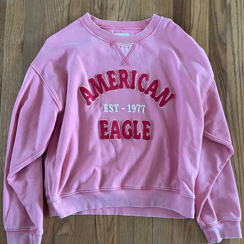 American Eagle Outfitters Reddish Pink Graphic Sweatshirt
